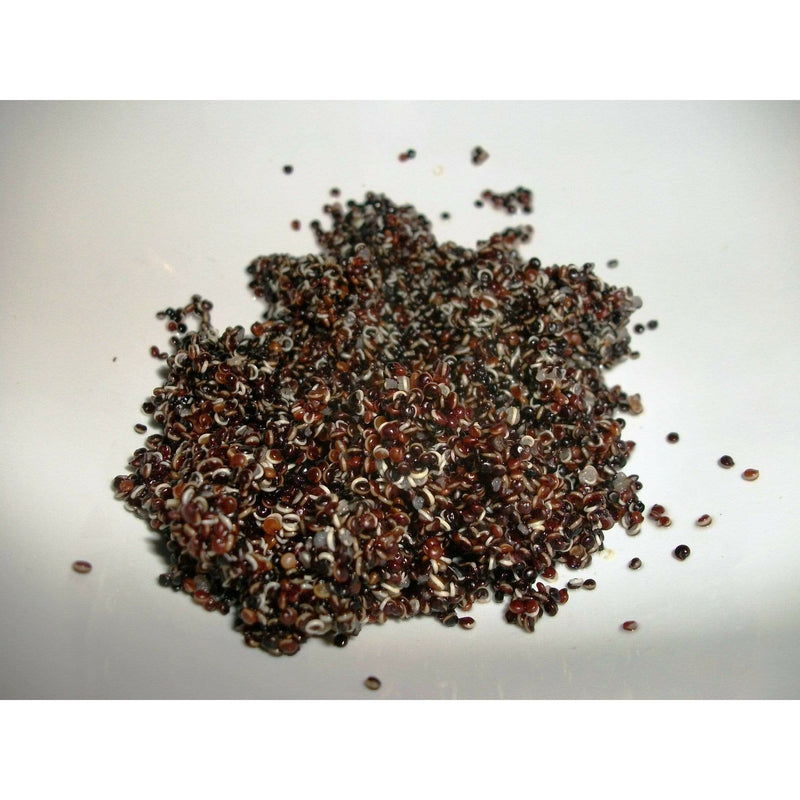 Chenab Impex Pvt Ltd Quinoa 12 Sol - Authentic Peruvian Black Quinoa 1kg