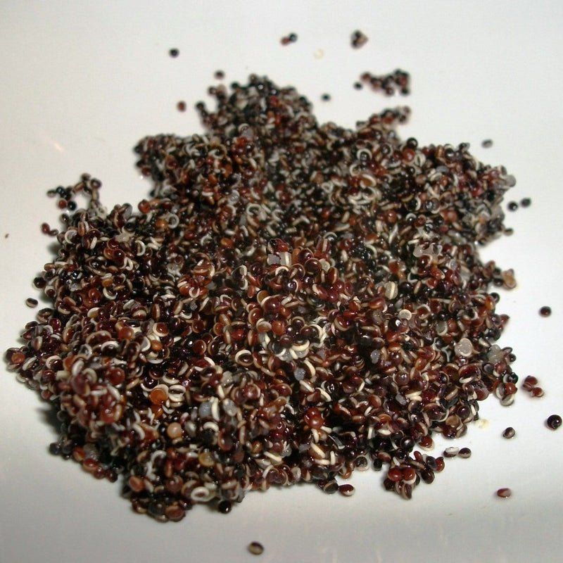 Chenab Impex Pvt Ltd Quinoa 12 Sol - Authentic Peruvian Black Quinoa 500g
