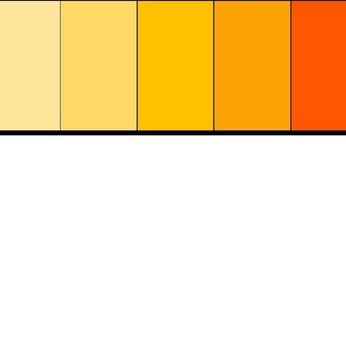 Chemvera Natural Colour Biocon Colors - Natural Orange Colour (Lutein)