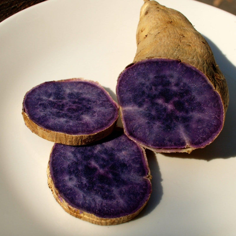 Chemvera Natural Colour Biocon Colors - Natural Purple Colour(Purple Sweet Potato Powder)