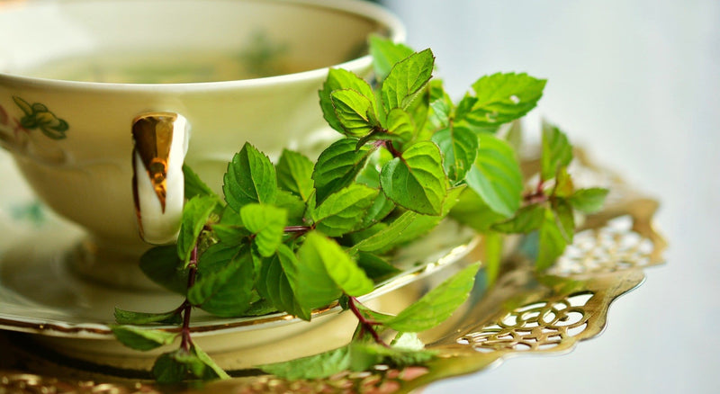 Chenab Impex Pvt Ltd Tea 12 Isvaari - Mint Tea 50g