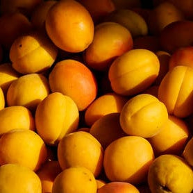 Relish Flavour Essence Iff -  Flavour Essence Apricot Flavour S 174 (Large)